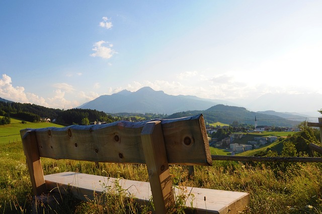 IBA权威